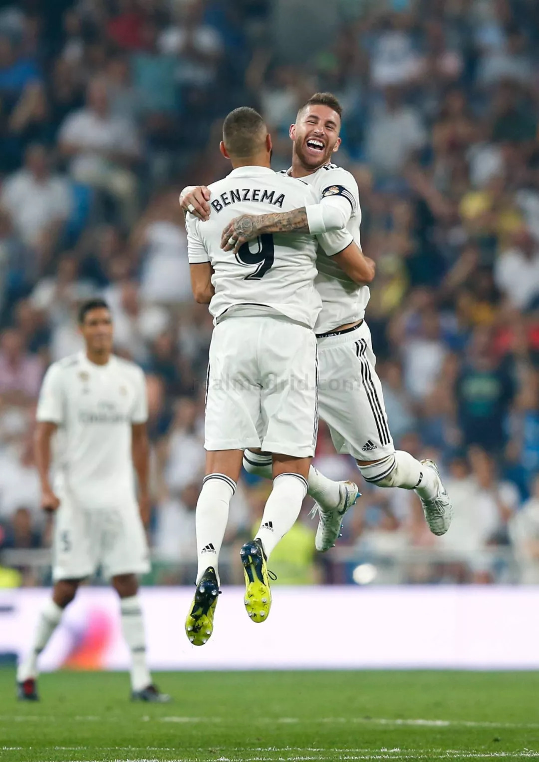 这种政策 这种政策