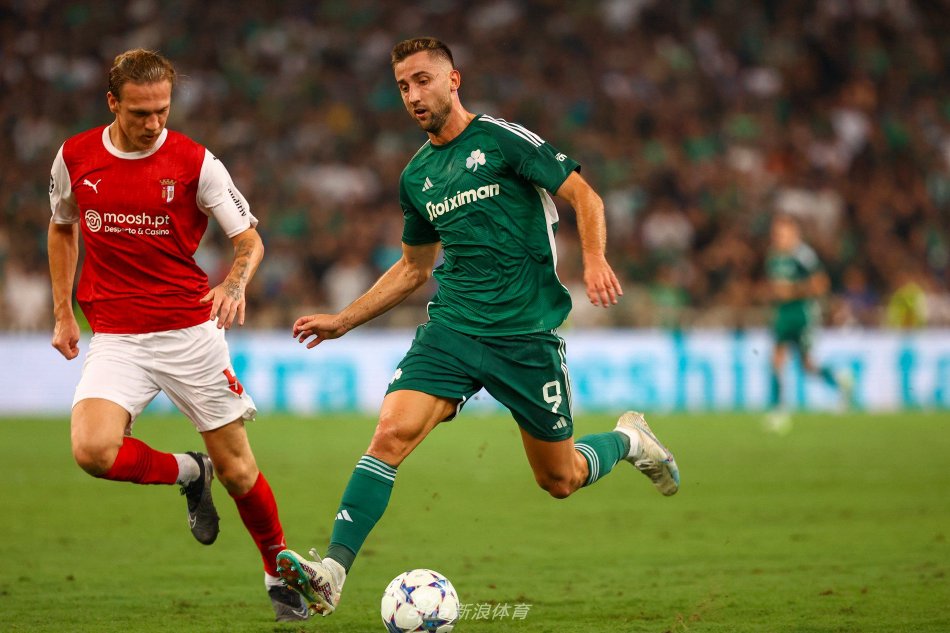 舍夫勒和小 舍夫勒和小