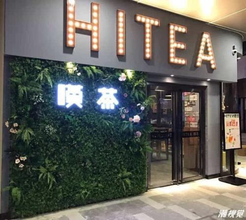 玩球直播